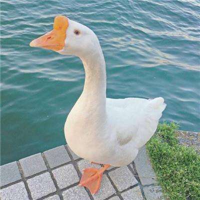 bat365中文官方网站(在线)截图