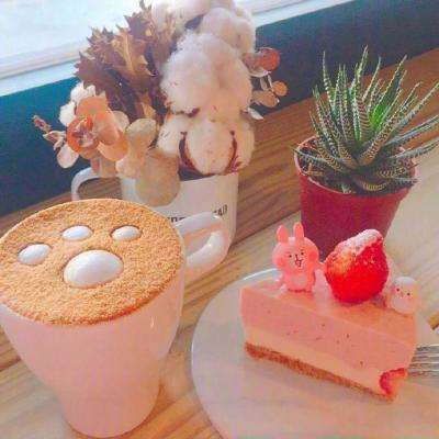 AOA体育登录入口app下载